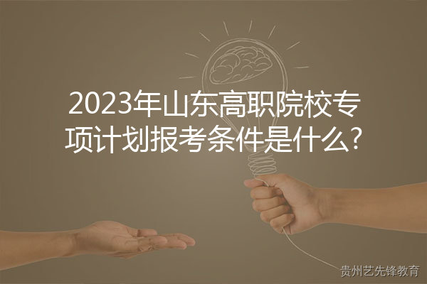 2023年山东高职院校专项计划报考条件是什么?