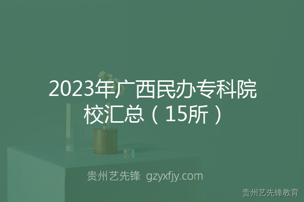 2023年广西民办专科院校汇总（15所）