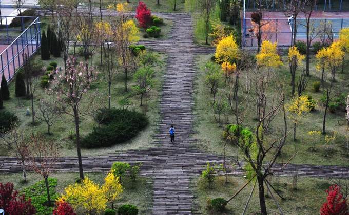 天津美术学院志成路校区绿地